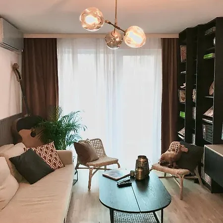 Point By Zoom * Bratislava