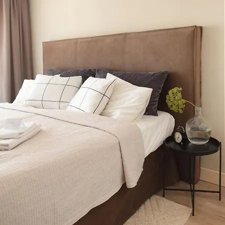 Point By Zoom * Bratislava